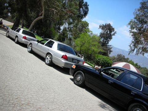 1992 Ford Crown Victoria - A line of Ford Crown Victorias, two silver and one black, are parked on a street with trees and mountains in the background.