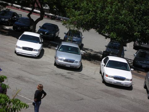 1992 Ford Crown Victoria - Multiple cars parked on a street, including a white Ford Crown Victoria.