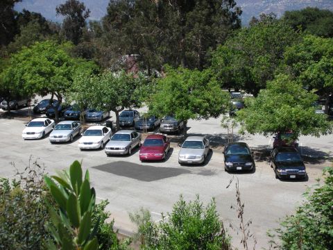 1992 Ford Crown Victoria - A variety of cars are parked in a lot, with trees providing shade.