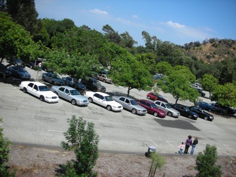 1992 Ford Crown Victoria - A row of cars are parked on a paved lot with trees and a hillside in the background.