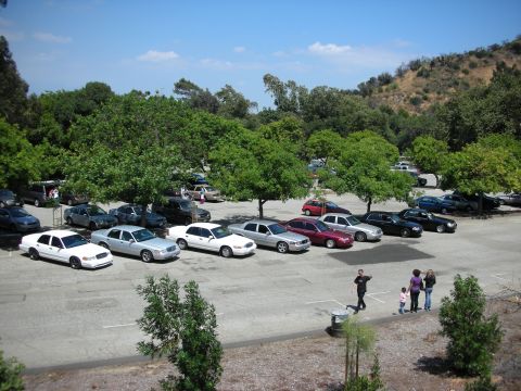 1992 Ford Crown Victoria - A collection of sedans and other vehicles are parked in an outdoor lot on a sunny day.