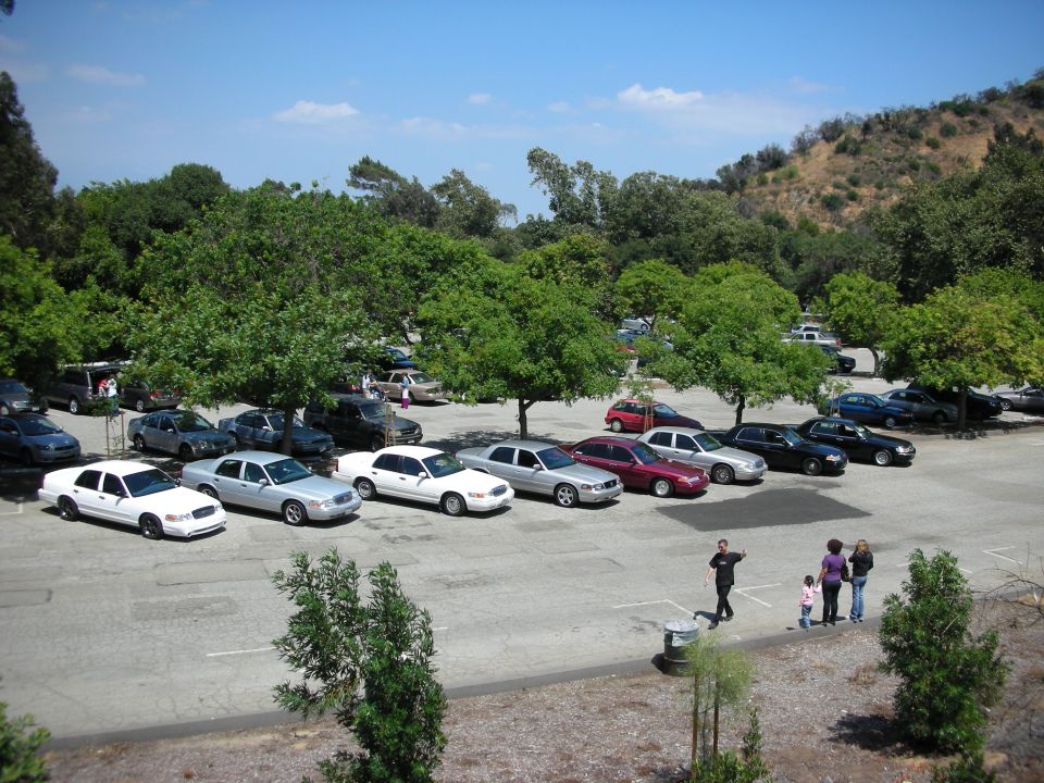 Several cars parked in a lot, including a white 1992 Ford Crown Victoria in the foreground