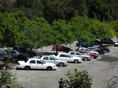 1992 Ford Crown Victoria - A white 1992 Ford Crown Victoria is seen from the side in a parking lot filled with other vehicles.