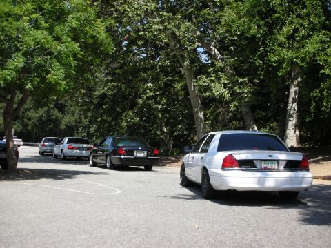 1992 Ford Crown Victoria - A line of cars, including a white Ford Crown Victoria, are parked in a lot with trees overhead.