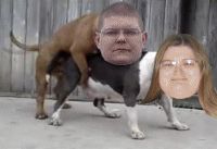 2000 Mercury Grand Marquis - Photo manipulation shows two dogs with human faces edited onto their bodies.