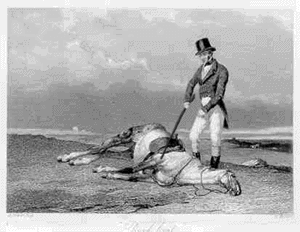 1990 Ford Bronco - A man stands over a deceased horse, holding a whip.