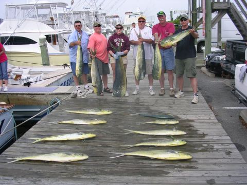 2008 Bombardier Outlander - Fishermen proudly display their catch of dolphin fish on a sunny day at the marina.