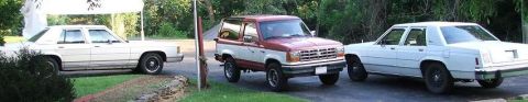 1991 Ford Crown Victoria LTD - Three vehicles are parked in a driveway with trees and foliage in the background.