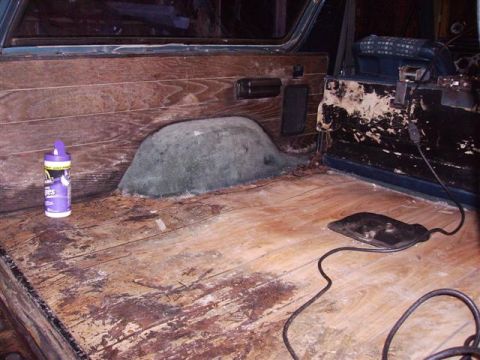1982 Ford Bronco - I found paneling under the soggy carpet...nice.