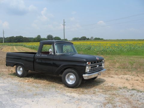 1966 Ford F-100 - Black 1966 Ford F-100 pickup truck with a sunflower field in the background.
