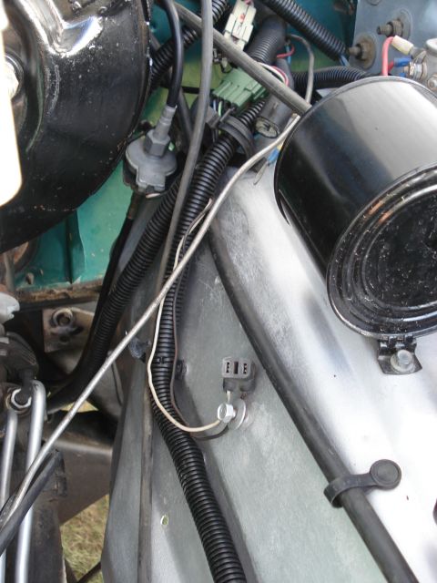 1979 Ford F-150 - Close-up view of engine bay components, including wiring harnesses and hoses.