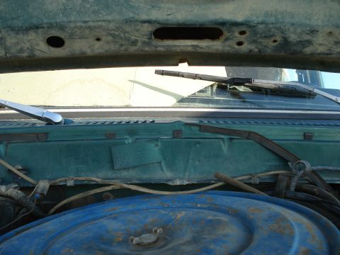 1979 Ford F-150 - View of the windshield wiper mechanism and engine bay of a 1979 Ford F-150.