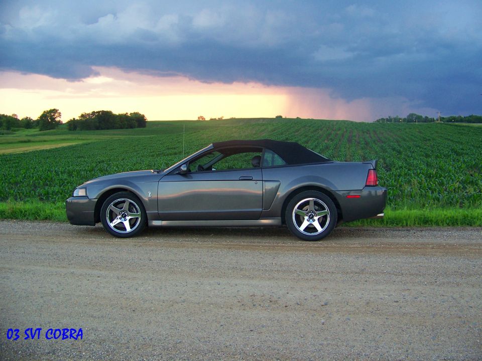 Gray 2003 SVT Cobra convertible parked on a dirt road with a stormy sky