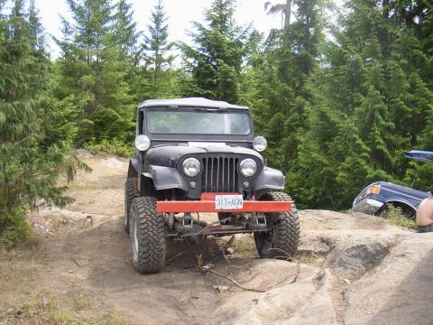 1988 Ford Bronco - rons beast