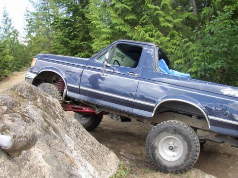 1988 Ford Bronco - purdy shiney