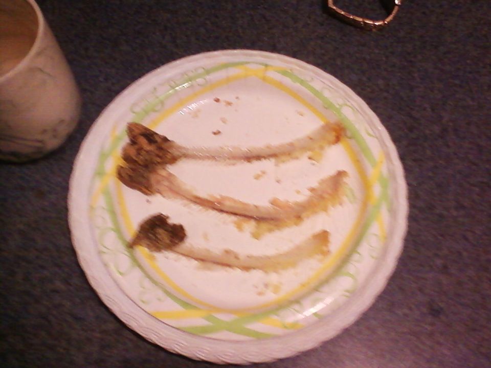 Paper plate with three fish bones and crumbs, next to a cup