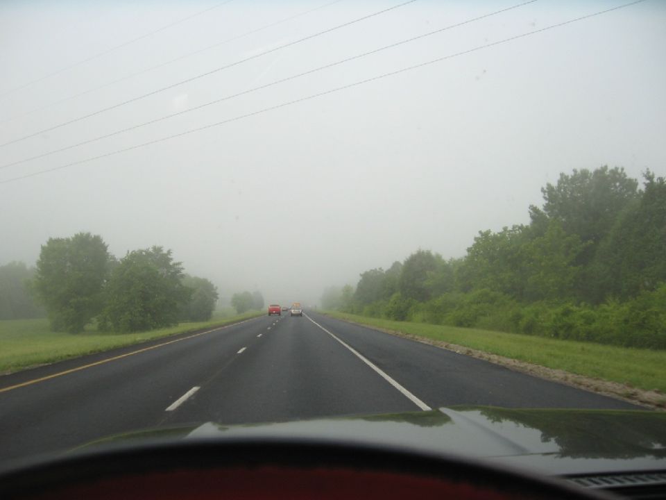View from inside a vehicle looking out at a foggy highway with trees and two cars ahead