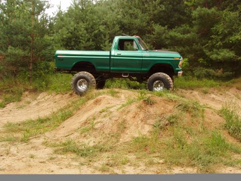 1979 Ford F-100 photo