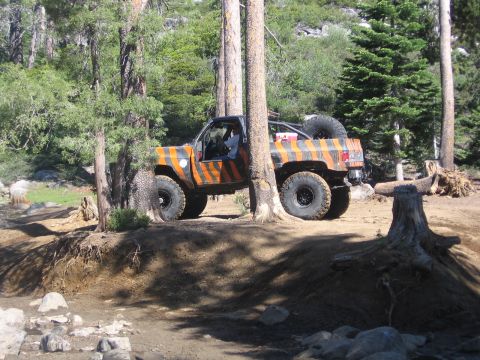 1989 Ford Bronco - An off-road truck with distinctive orange and black stripes is parked on a dirt trail surrounded by trees.