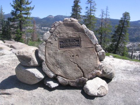 1989 Ford Bronco - A memorial plaque is mounted on a tree stump in a scenic mountain landscape.