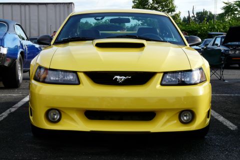 2002 Ford Mustang photo
