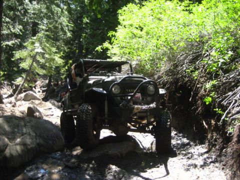 1989 Ford Bronco - This vintage Toyota Land Cruiser navigates a challenging off-road path through a wooded area.