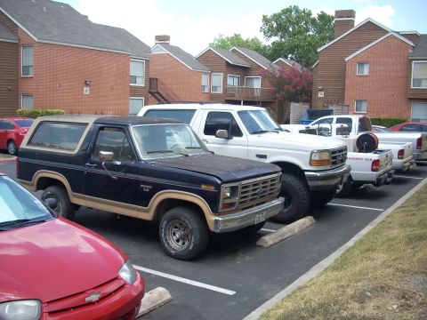 1986 Ford Bronco photo