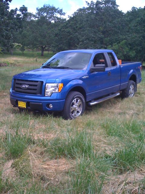 1968 Ford Bronco - A blue Ford F-150 pickup truck is seen from a 3/4 front angle in a grassy outdoor setting.
