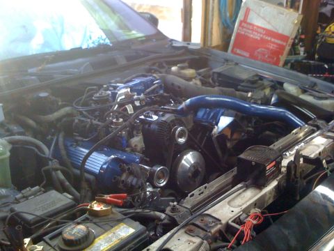1996 Ford Crown Victoria - Engine bay with custom blue accents on intake and valve covers, viewed from the front.