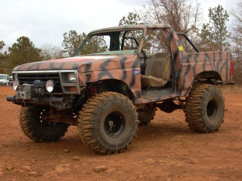 1996 Ford Bronco - Customized Ford Bronco built for off-roading, a unique paint job and heavy-duty modifications.