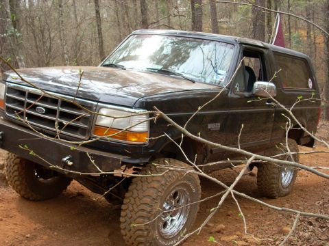 1996 Ford Bronco - A black Ford Bronco is parked on a dirt path surrounded by trees, with branches obscuring the view.