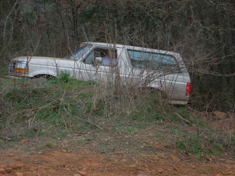 1996 Ford Bronco - A silver 1992 Ford Bronco is seen off-road, surrounded by dense vegetation.