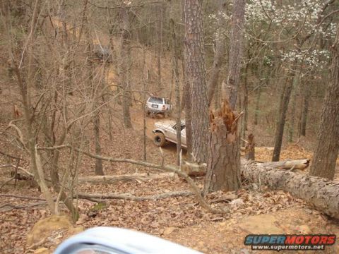1996 Ford Bronco - Several off-road vehicles navigate a challenging trail through a dense forest with fallen logs and dry leaves.