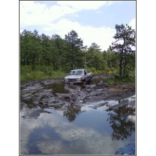 1995 Dodge 1500 photo