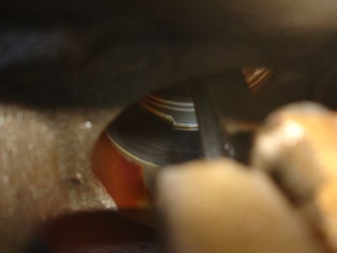 1992 Ford Taurus - Close-up view of an engine cylinder, showing signs of wear and oil.