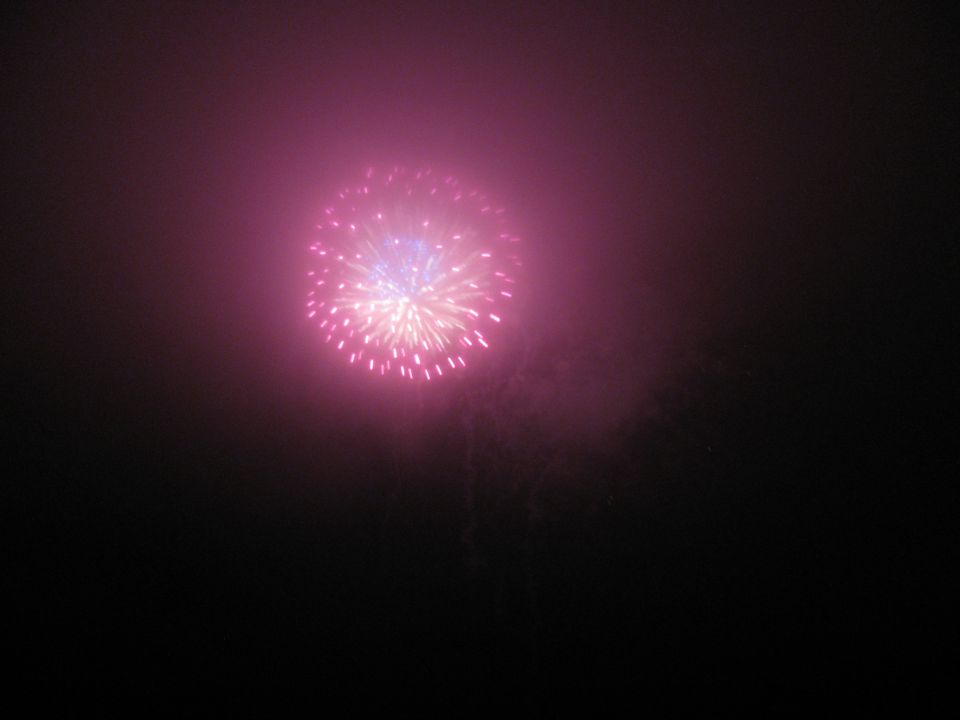 Pink and white fireworks exploding in a dark sky