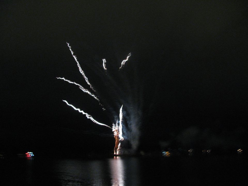 Fireworks explode in the night sky over dark water, with distant lights visible on the horizon
