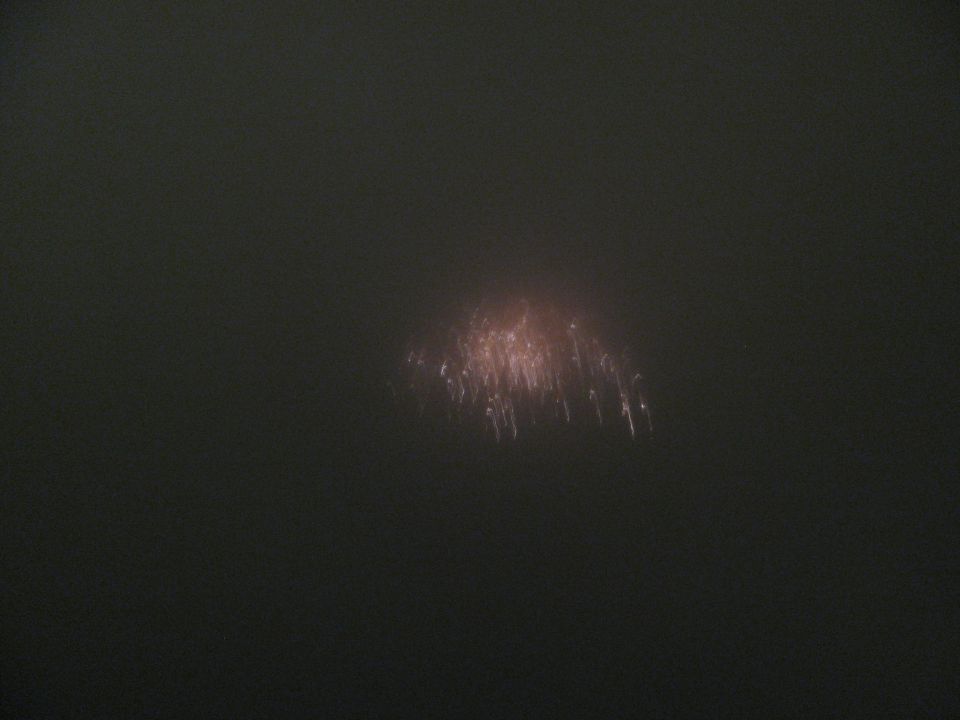 Fireworks exploding in a dark sky