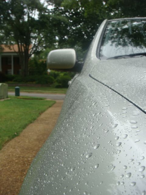 2001 Lexus IS 300 “Lynn”
