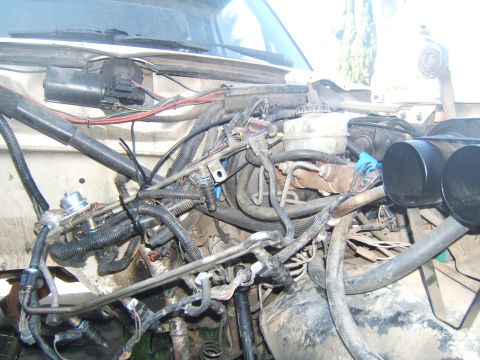 1988 Ford Bronco - Close-up view of an engine bay, showing intricate wiring and dual exhaust pipes.