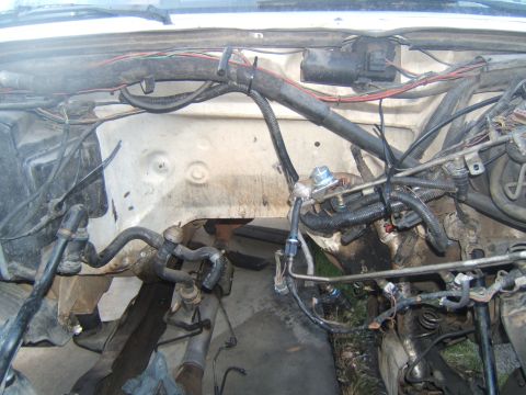 1988 Ford Bronco - Close-up view of a vehicle's engine bay, focusing on hoses and electrical wiring.