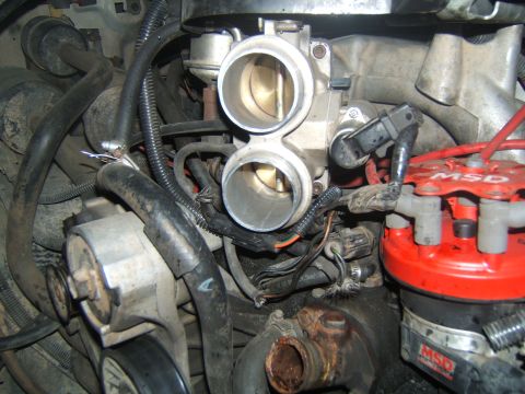 1988 Ford Bronco - Close-up of an engine bay, focusing on the throttle body and a red MSD distributor.