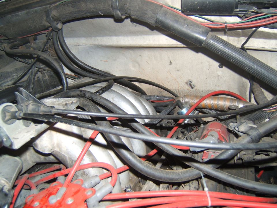 Engine bay with distributor cap, spark plug wires, intake manifold, and various hoses and wiring