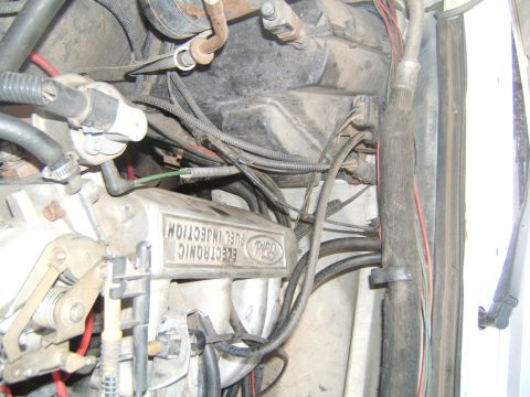 1988 Ford Bronco - Close-up of a Ford Electronic Fuel Injection component, likely from an older model truck or SUV.