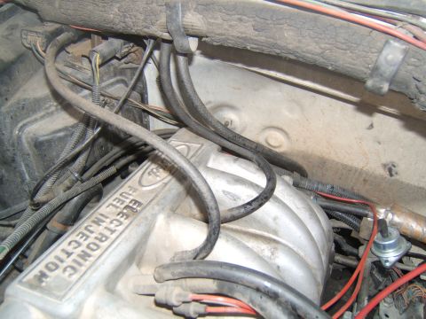 1988 Ford Bronco - Close-up of an engine bay, focusing on the intake manifold and associated wiring.