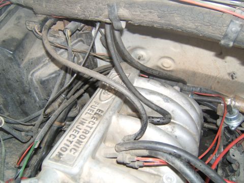 1988 Ford Bronco - Close-up of an engine bay, focusing on the electronic fuel injection manifold and associated wiring.