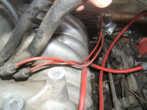 1988 Ford Bronco - Close-up view of engine components including spark plug wires and intake manifold.