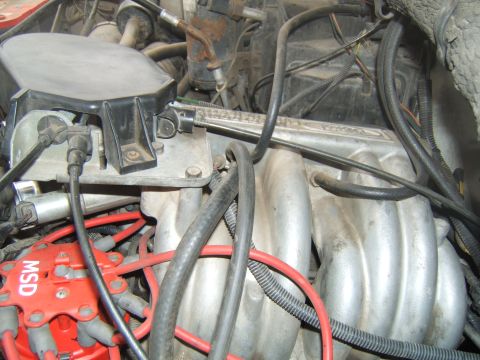 1988 Ford Bronco - Close-up view of engine components including an MSD distributor and intake manifold.
