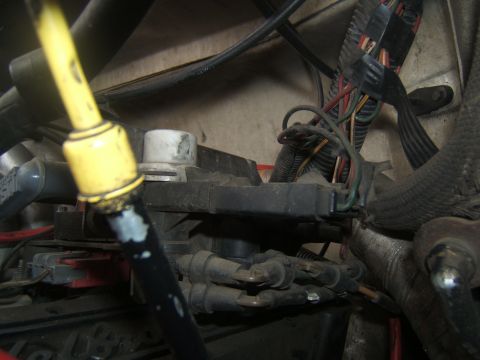 1988 Ford Bronco - Close-up view of an engine's wiring harness, including spark plug wires and yellow conduit.