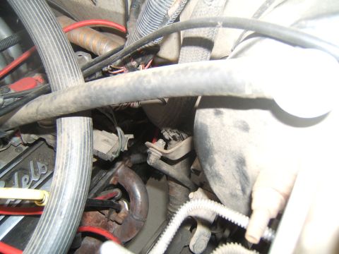 1988 Ford Bronco - Engine bay detail with various hoses and wiring harnesses visible.